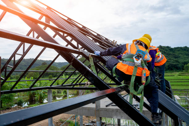 Professional Roofing Contractor in Prairie Grove, IL