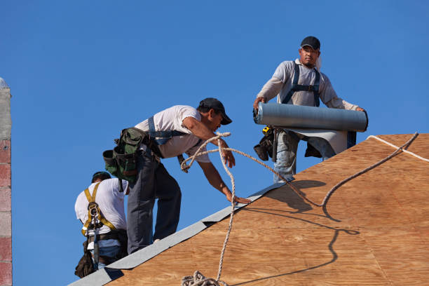 Best Gutter Installation and Roofing  in Prairie Grove, IL