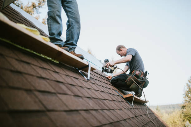 Quick and Trustworthy Emergency Roof Repair Services in Prairie Grove, IL